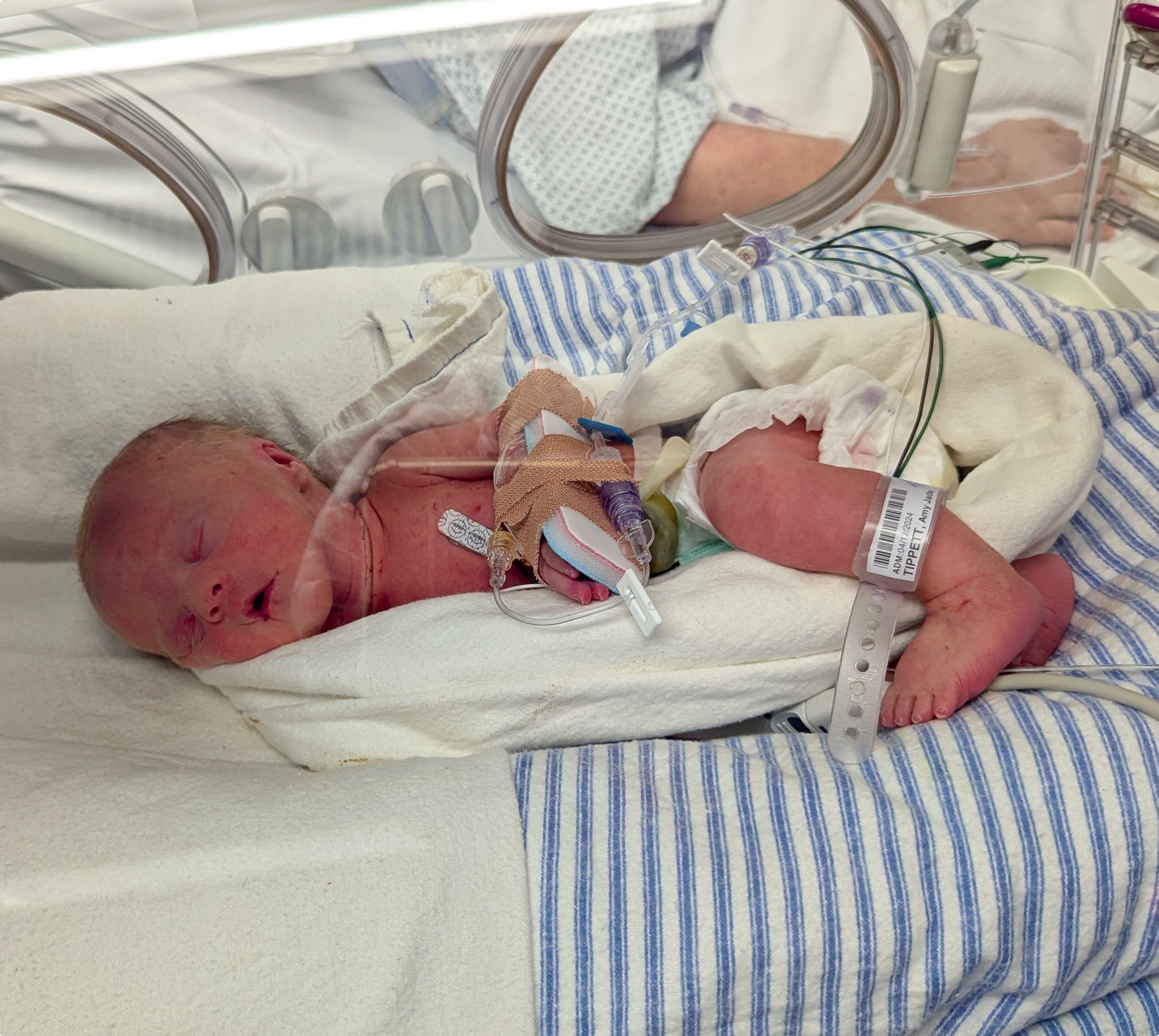 Freddie at two hours old